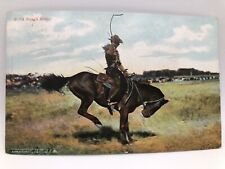Postcard A Rough Rider Cowboy on Bucking Horse Posted 1908 picture