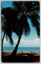 c1960s Coconut Palm Trees Florida Beach Vintage Postcard picture