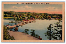 c1940's Long Lake and Bay of Naples, Naples Maine ME Vintage Unposted Postcard picture