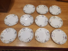 Antique EJD Bodley Hanley Set of 11 Dinner Plates 9” England Circa 1870 picture