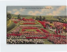 Postcard Terrace of the Hershey Rose Garden Hershey Pennsylvania USA picture
