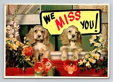 Vintage post card 5 3/4 x 4 1/8 inch We Miss You  dogs picture