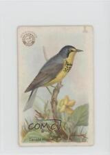 1922 Arm & Hammer Useful Birds of America Series 3 Canada Warbler #28 0in6 picture