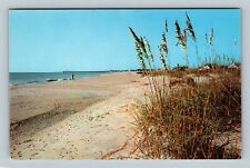 Atlantic Ocean Beach Pier Dunes, Pauley's Island South Carolina Vintage Postcard picture