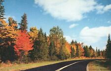 Curve In Road A Fall Scene Beautiful Kept Posted WIS Vintage Chrome Post Card picture