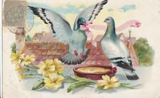CPA Fantasy Art Relief PAIR OF PIGEONS Mr. Offer Pink Ribbon to Mrs. picture