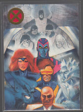 1993 Marvel X-MEN Team Card #NNO Professor X Cyclops Beast Iceman picture
