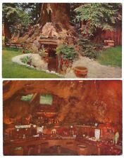 Redcrest California lot of 2 c1955 Eternal Tree House, Redwood Tree, interior picture