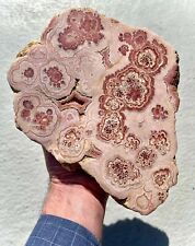 7.4 Pound: Rhodochrosite with Sphalerite Polished / Rough Capillitas, Argentina picture