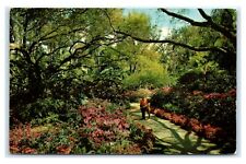 Postcard Sunken Gardens, St Petersburg FL L19 picture