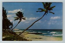 FL-Florida, Typical Florida Coast, Scenic View, Vintage Postcard picture