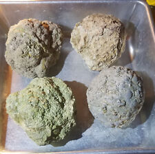 (Each 1-lb LOT) = (3 to 4 Uncut Whole Thundereggs Rough) Crystal (FREE SHIPPING) picture