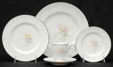 Noritake Anticipation 5 Piece Place Setting 6053542 picture