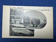 1903 Kennebunkport, ME Postcard - Lake, Canoe, Oxen Pulling Hay Cart picture