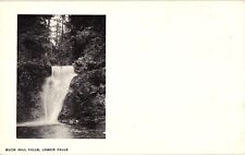 Buck Hill Falls Lower Falls PA Undivided Unposted Postcard c1905 picture