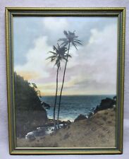 Vintage Hawaii Color Tinted Photograph Original Frame, Palm Trees Ocean Sunset picture