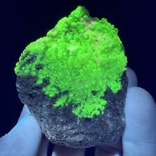 Botryoidal Fluorescent Green Hyalite Opal on Matrix from Utah picture
