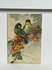 Postcard Bird on Limb Flowers Signed C. Klein A60 picture