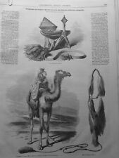 1851 1937 TOUAREG MEHARIS DESERT ARMY FRANCAISE CAMBON 15 OLD NEWSPAPERS picture
