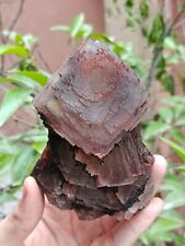 478g Natural Cubic Fluorite Specimen On Matrix With Red Iron Oxide Inclusions picture