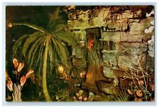 c1960's Cliftons Pacific Seas Los Angeles Waterfall Grotto California Postcard picture