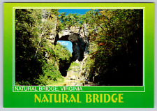 c1970s Natural Bridge Virginia Vintage Postcard picture