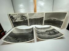 Vintage Lake Mountains Valley Pine Fir Trees Scenery 1950s 8x10 Photographs BW picture