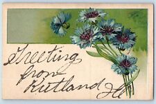 Rutland Illinois Postcard Greetings Glitter Embossed Flower 1910 Vintage Antique picture