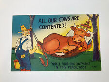 All Our Cows Are Contented, You’ll Find Contentment Too VINTAGE Postcard picture