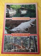 Postcard, Silver Springs Florida, Jungle Cruise Boat, Alligator picture