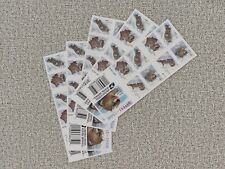 100 USPS Stamps OTTERS in SNOW MACHINABLE STAMPS (5 Sheets of 20) picture