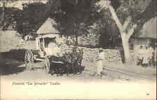 Yucatan Mexico MX Hacienda San Bernardo Horse and Carriage c1910 Postcard picture