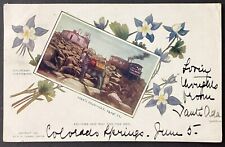 Colorado Pikes Peak Columbine Flowers Vintage UDB Embossed Postcard Posted 1905 picture