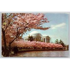 Postcard Washington D.C. Jefferson Memorial Cherry Trees picture
