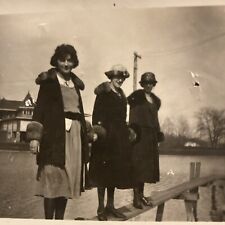 1910s-1920s Women Ladies Walking the Plank Over Water Original Old Photo P11f15 picture