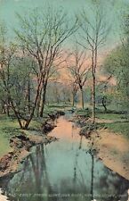 Early Spring Iowa River Marshalltown Iowa IA 1913 Postcard picture