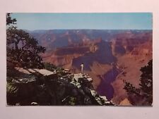 Grand Canyon National Park At Pima Point Posted 1957 Postcard picture