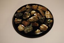 Vintage 1969 Hot Plate Trivet Abalone Shells Resin Souvenir Made in USA picture