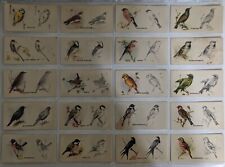 1938 Godfrey Phillips Ltd. Cigarettes Bird Painting Series Of 50 Cards Complete picture