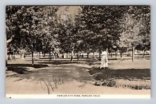 Fowler CO-Colorado, Fowler City Park, Antique, Vintage Souvenir Postcard picture