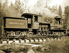 Benson Logging & Lumber Company Train WA Vintage Old Photo 13