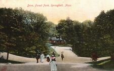 Vintage Postcard 1908 The Drive Forest Park Springfield Massachusetts Robbins picture