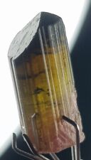 6.60 ct Natural Terminated Tri Color Tourmaline crystal From Afghanistan picture