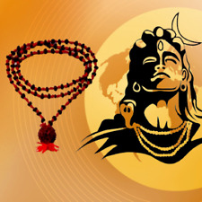 Siddhi Necklace: Unlock 8 Mystical Psychic Abilities with Authentic Aghori Bless picture