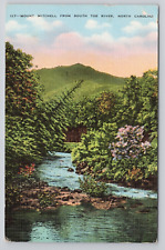 Mount Mitchell from South Toe River North Carolina Linen Postcard No 4592 picture