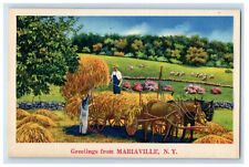 c1930s Horse Carrying Barn Hay, Greetings from Mariaville New York NY Postcard picture
