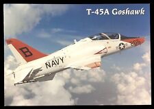 Postcard FW-333 T-45A Goshawk US Navy Jet Flown by SITS Instructors of TW-2/VT21 picture