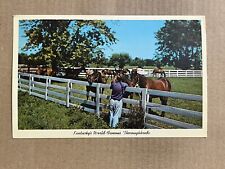 Postcard Blue Grass Horse Racing Farm Thoroughbreds Lexington KY Kentucky picture