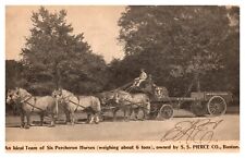 SS Pierce  Company Boston Massachusetts Percheron Horses PC postcard Horses mass picture