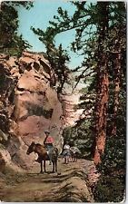 c1910 MT WILSON CALIFORNIA ON MOUNTAIN TRAIL HORSES POSTCARD 41-61 picture